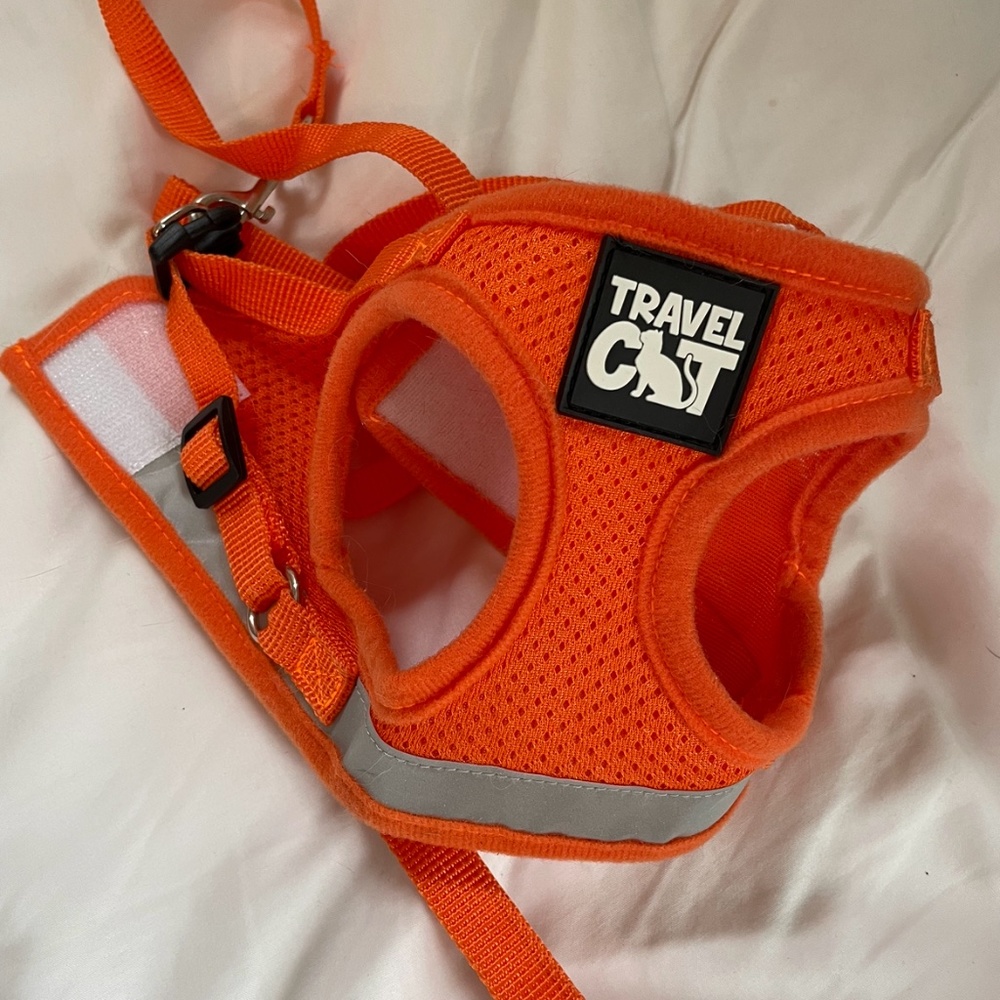 Travel Cat cat harness